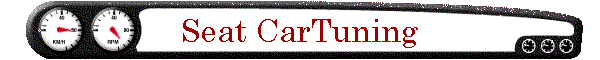 Seat Car Tuning