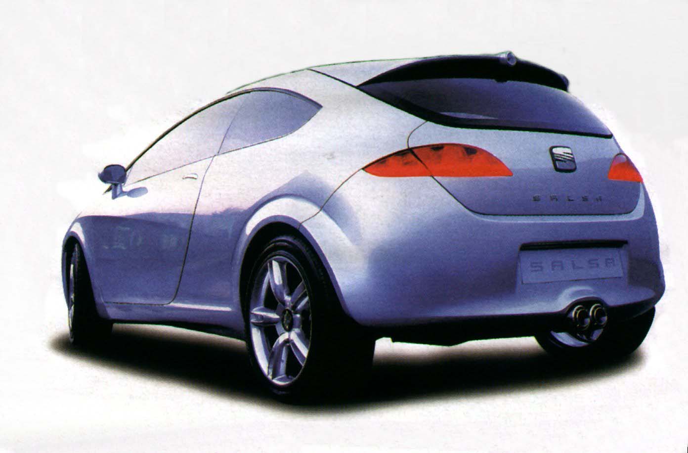 SEAT Salsa left rear